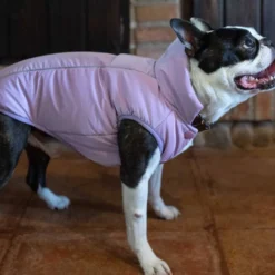 Abrigo Impermeable WinterHug Morado Perro Pequeño