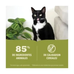 Acana de Lata de Ternera para Gato