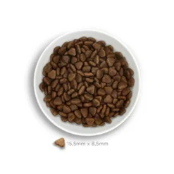 Amanova Pienso Adult Exigent Cerdo Ibérico para Perro
