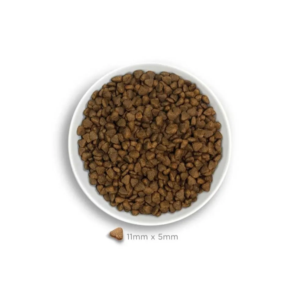 Amanova Pienso Adult Mini Sensitive Cordero para Perros Pequeños