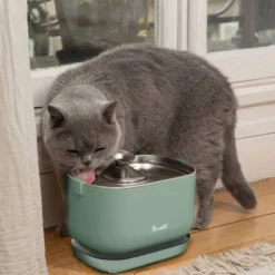 Bandit Fuente de Agua Inalámbrica Verde