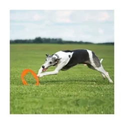 Bionic Juguete Ultra Resistente Aro Toss-N-Tug Turbo para Perro