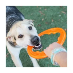Bionic Juguete Ultra Resistente Aro Toss-N-Tug Turbo para Perro