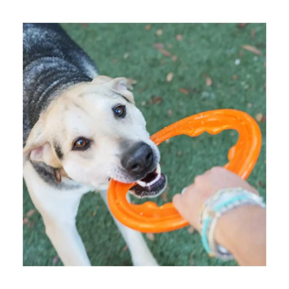 Bionic Juguete Ultra Resistente Aro Toss-N-Tug Turbo para Perro
