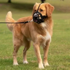 Bozal Baskerville Ultra para Perro