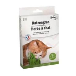 Bubimex Hierba para Gatos 100g