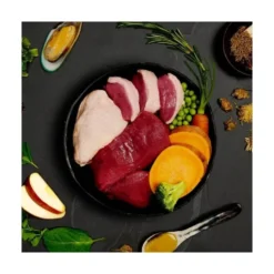 Canagan Lata de Carnes de Caza para Perros