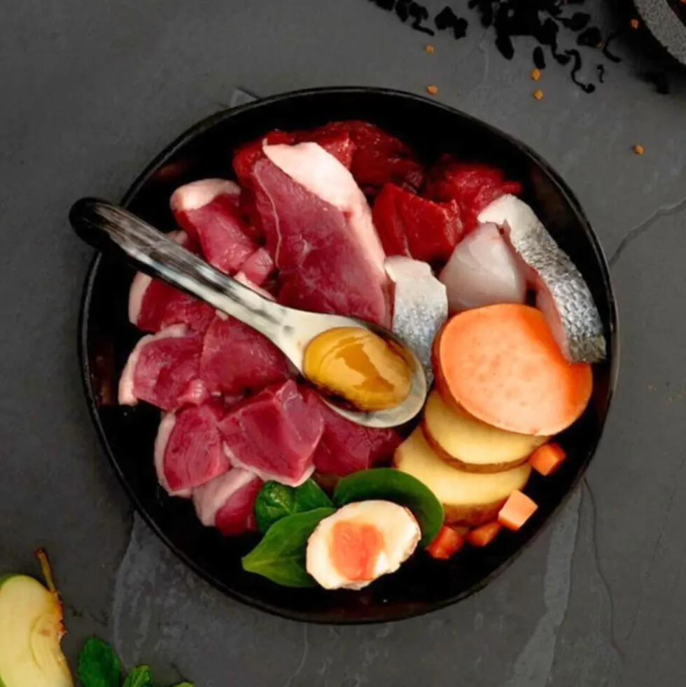 Canagan Pienso de Carnes de Caza para Gatos