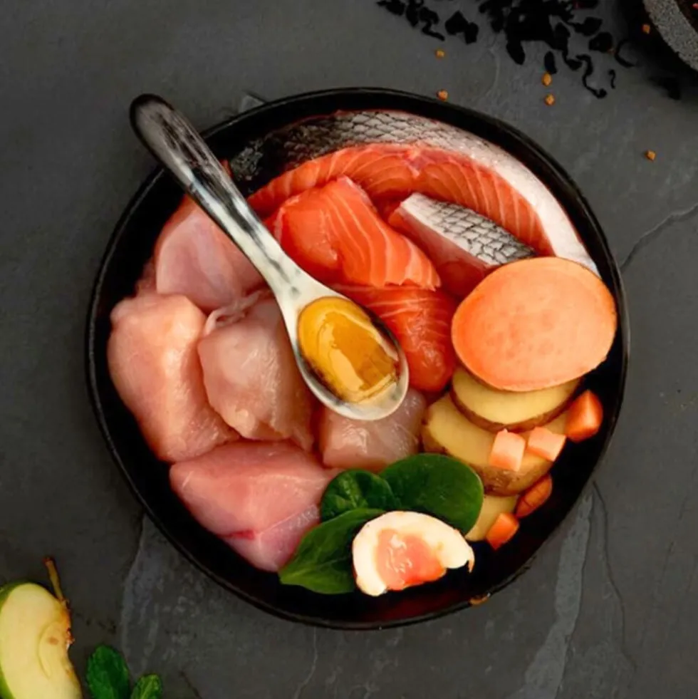 Canagan Pienso de Pollo y Salmón para Gatos Senior