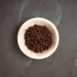 Canagan Pienso de Salmón Escocés para Gatos