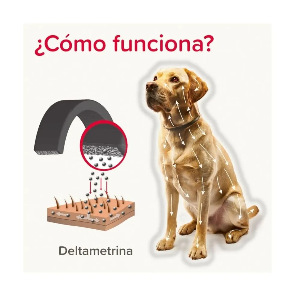 Canishield Collar Antiparasitario para Perros Grandes (1 ud)
