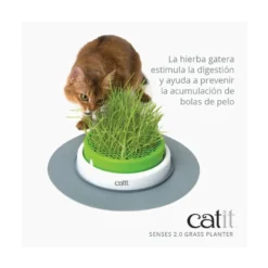 Catit Senses Germinador de Hierba para Gatos