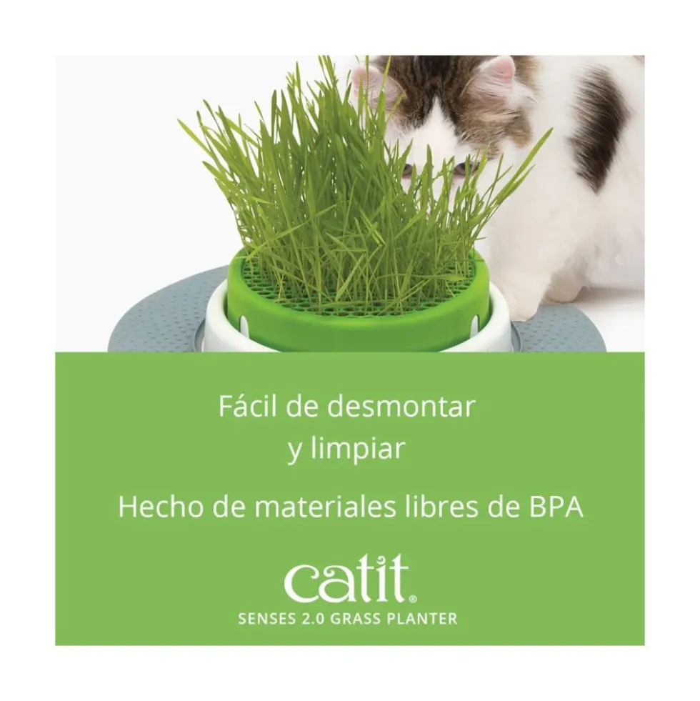 Catit Senses Germinador de Hierba para Gatos