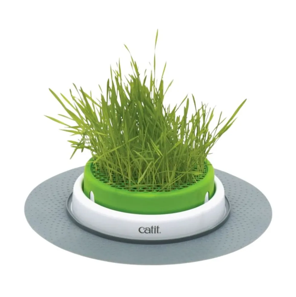 Catit Senses Germinador de Hierba para Gatos