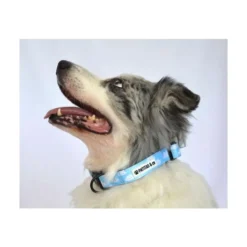 Collar Patitas de Nubes