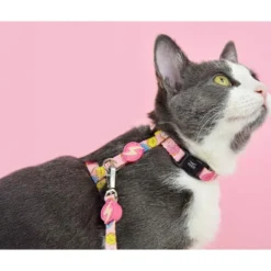 Dashi Arnés + Correa Donut para Gato