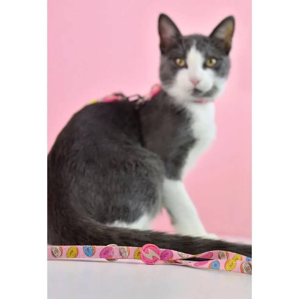 Dashi Arnés + Correa Donut para Gato