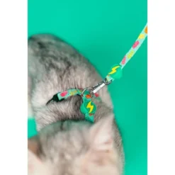Dashi Arnés + Correa Gummy para Gato