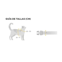 Dashi Arnés + Correa Neón Rosa para Gato
