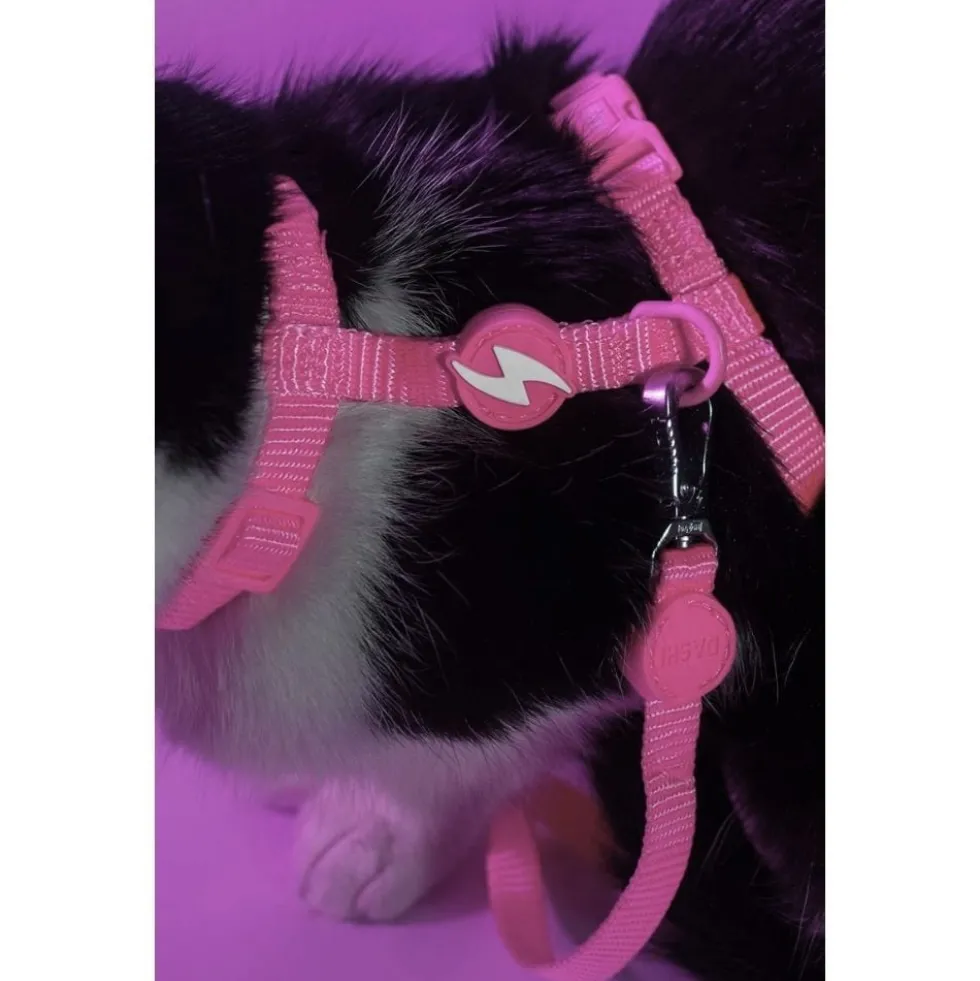 Dashi Arnés + Correa Neón Rosa para Gato