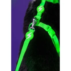 Dashi Arnés + Correa Neón Verde para Gato