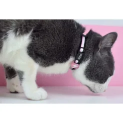 Dashi Collar Stripes³ Rosa y Negro para Gato
