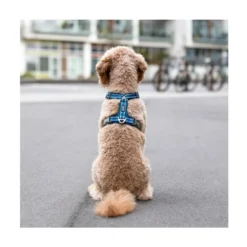 DOG Copenhagen Arnés Azul Comfort Walk Air para Perro