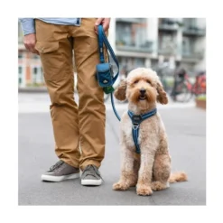 DOG Copenhagen Arnés Azul Comfort Walk Air para Perro