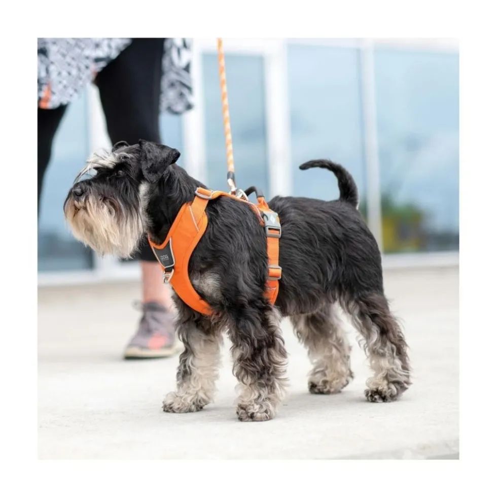 DOG Copenhagen Arnés Beige Comfort Walk Pro para Perro