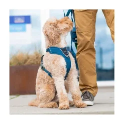 DOG Copenhagen Arnés Beige Comfort Walk Pro para Perro