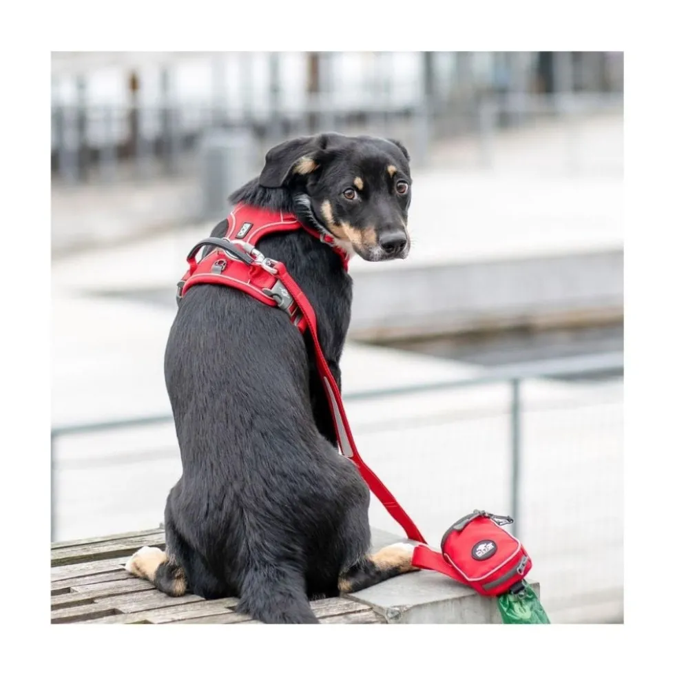 DOG Copenhagen Arnés Beige Comfort Walk Pro para Perro