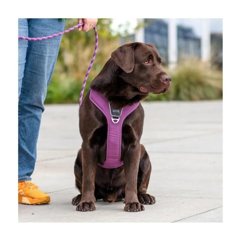 DOG Copenhagen Arnés Beige Comfort Walk Pro para Perro