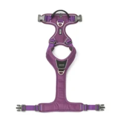 DOG Copenhagen Arnés Morado Comfort Walk Pro para Perro