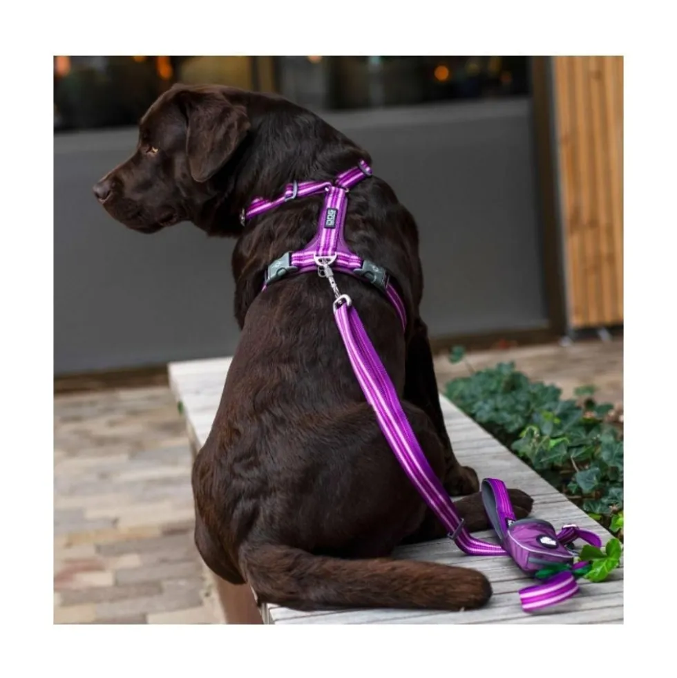 DOG Copenhagen Arnés Morado Comfort Walk Air para Perro