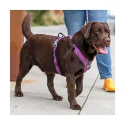 DOG Copenhagen Arnés Rosa Comfort Walk Pro para Perro