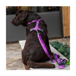 DOG Copenhagen Arnés Rosa Comfort Walk Air para Perro