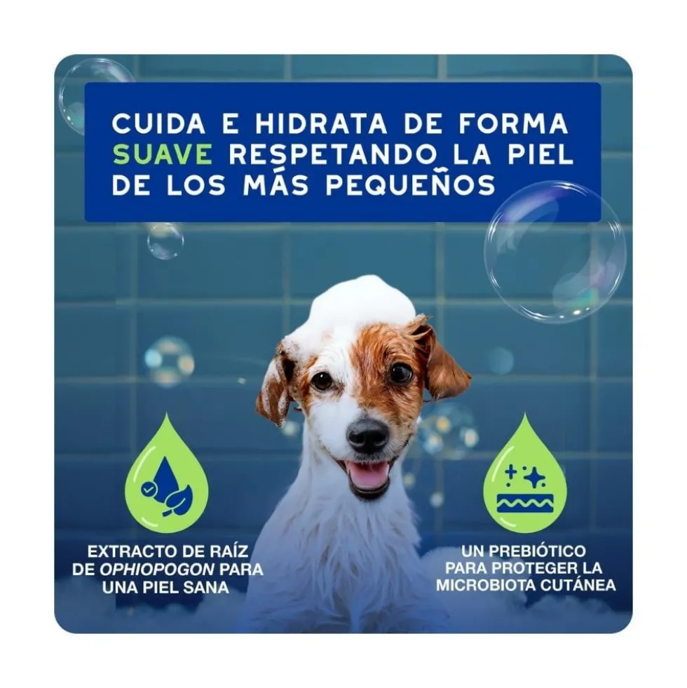 Douxo Spa Champú para Perro Cachorro
