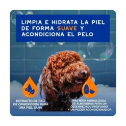 Douxo Spa Champú y Acondicionador 2 en 1 para Perro