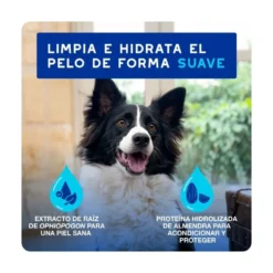 Douxo Spa Mousse Limpieza Exprés para Perro