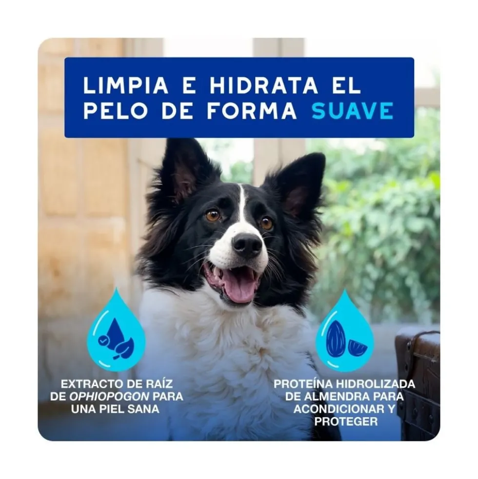 Douxo Spa Mousse Limpieza Exprés para Perro