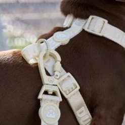Dukier Arnés Clásico Beige para Perro