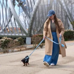 Dukier Arnés Clásico Soft Blue para Perro