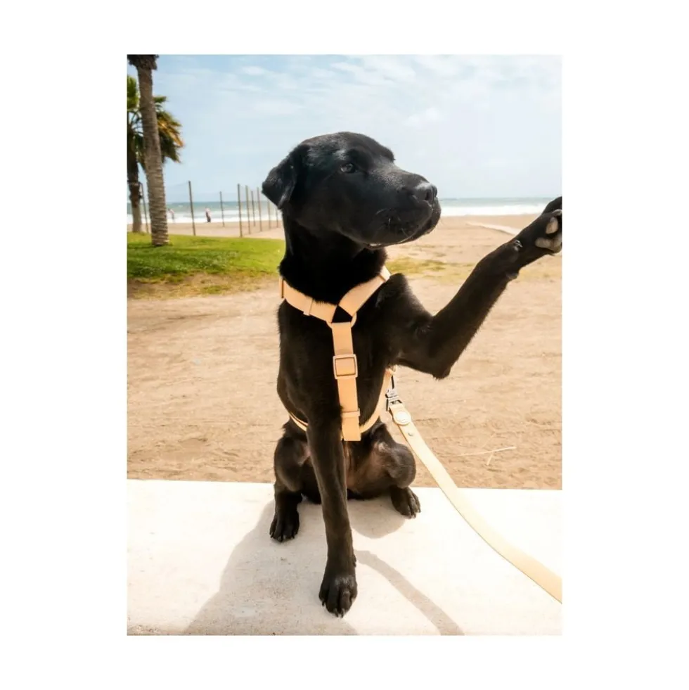 Dukier Arnés Waterproof Beige para Perro