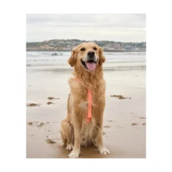 Dukier Arnés Waterproof Coral para Perros