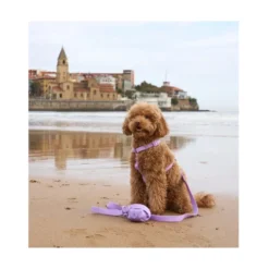 Dukier Arnés Waterproof Morado para Perros