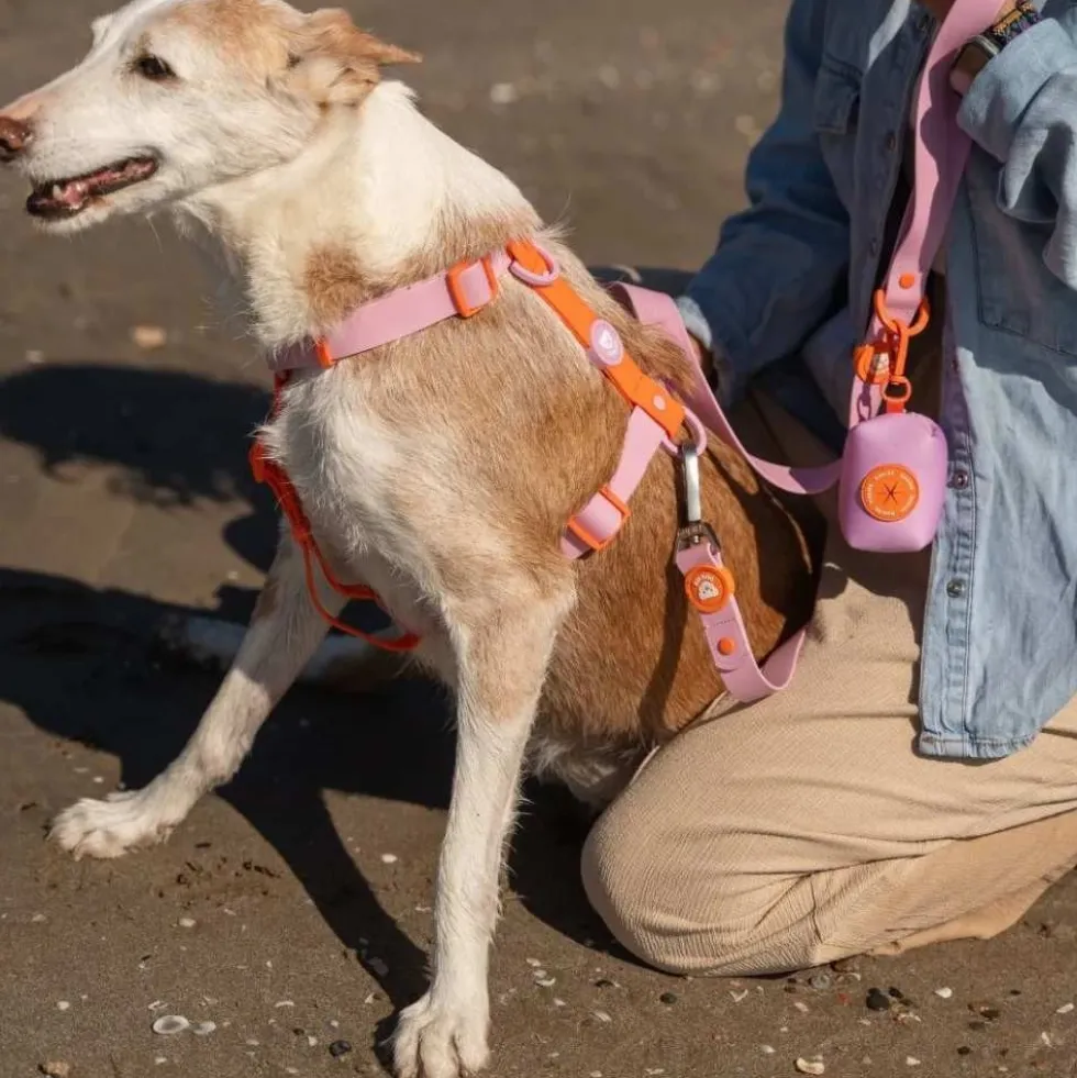 Dukier Arnés Waterproof Tangerine para Perro