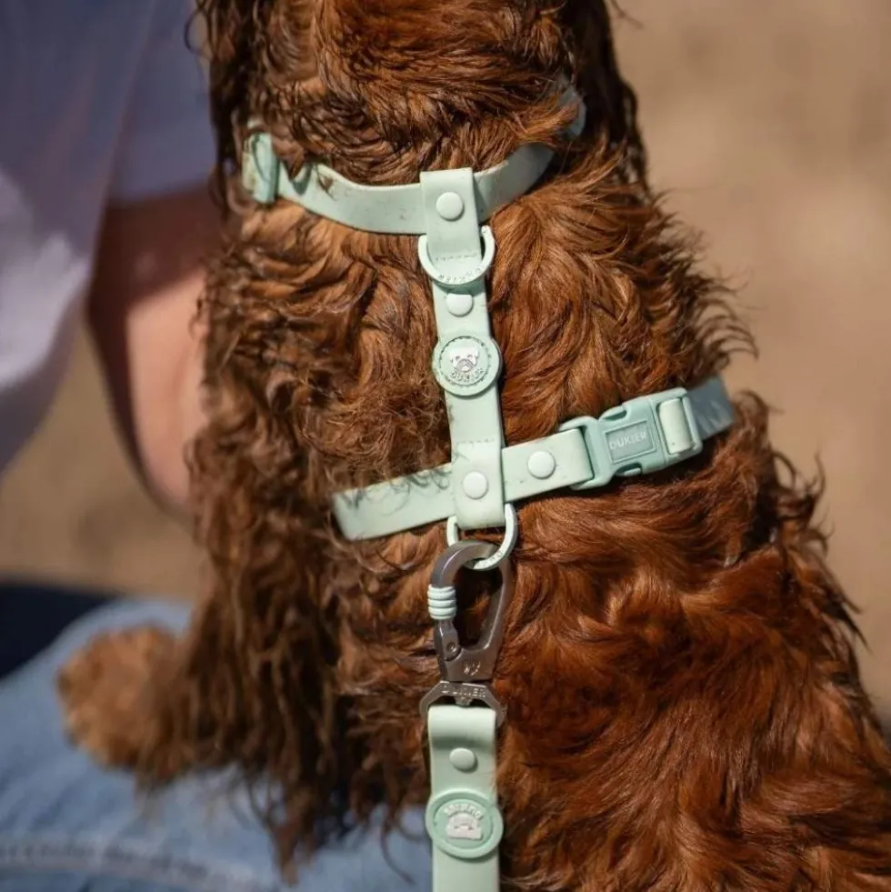 Dukier Arnés Waterproof Turquoise para Perro