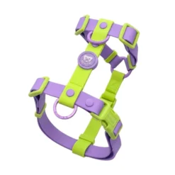 Dukier Arnés Waterproof Violet Matcha para Perro