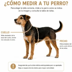 Dukier Arnés Waterproof Violet Matcha para Perro