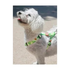 Dukier Avocado Arnés Clásico para Perro